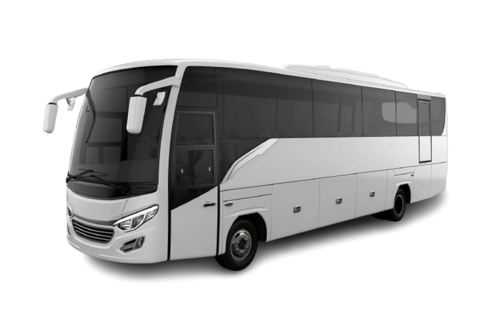 Mini Coach
